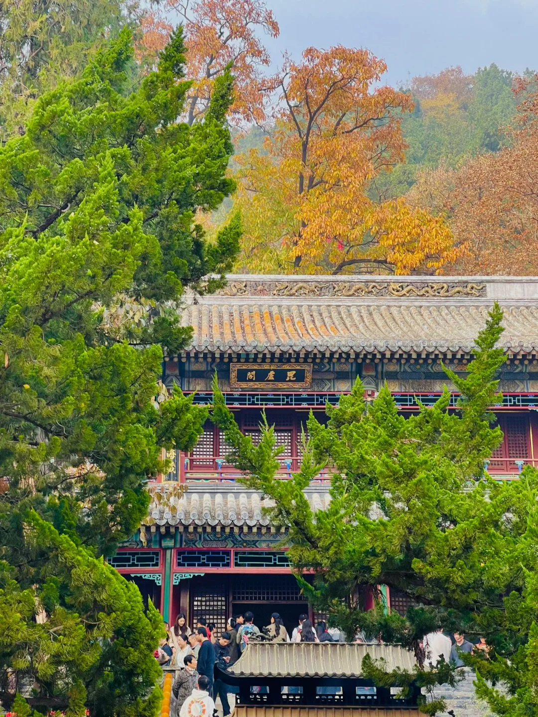 更新秋天🍁是1400年银杏树 见证的潭柘寺！