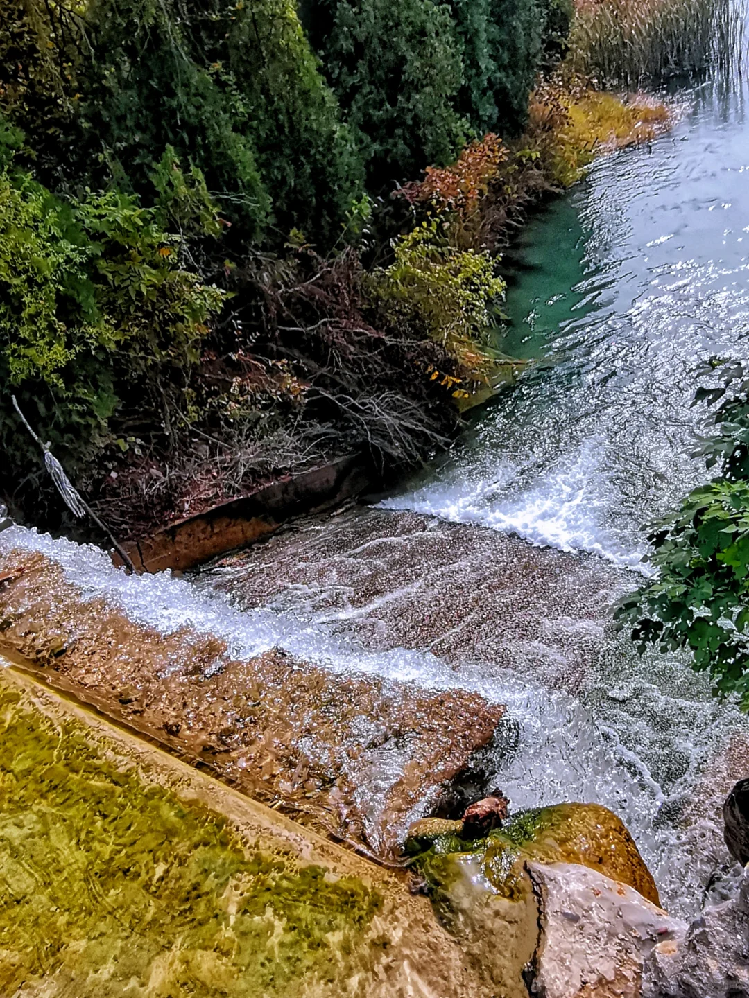 邯郸周边游：栾卸银杏林景区