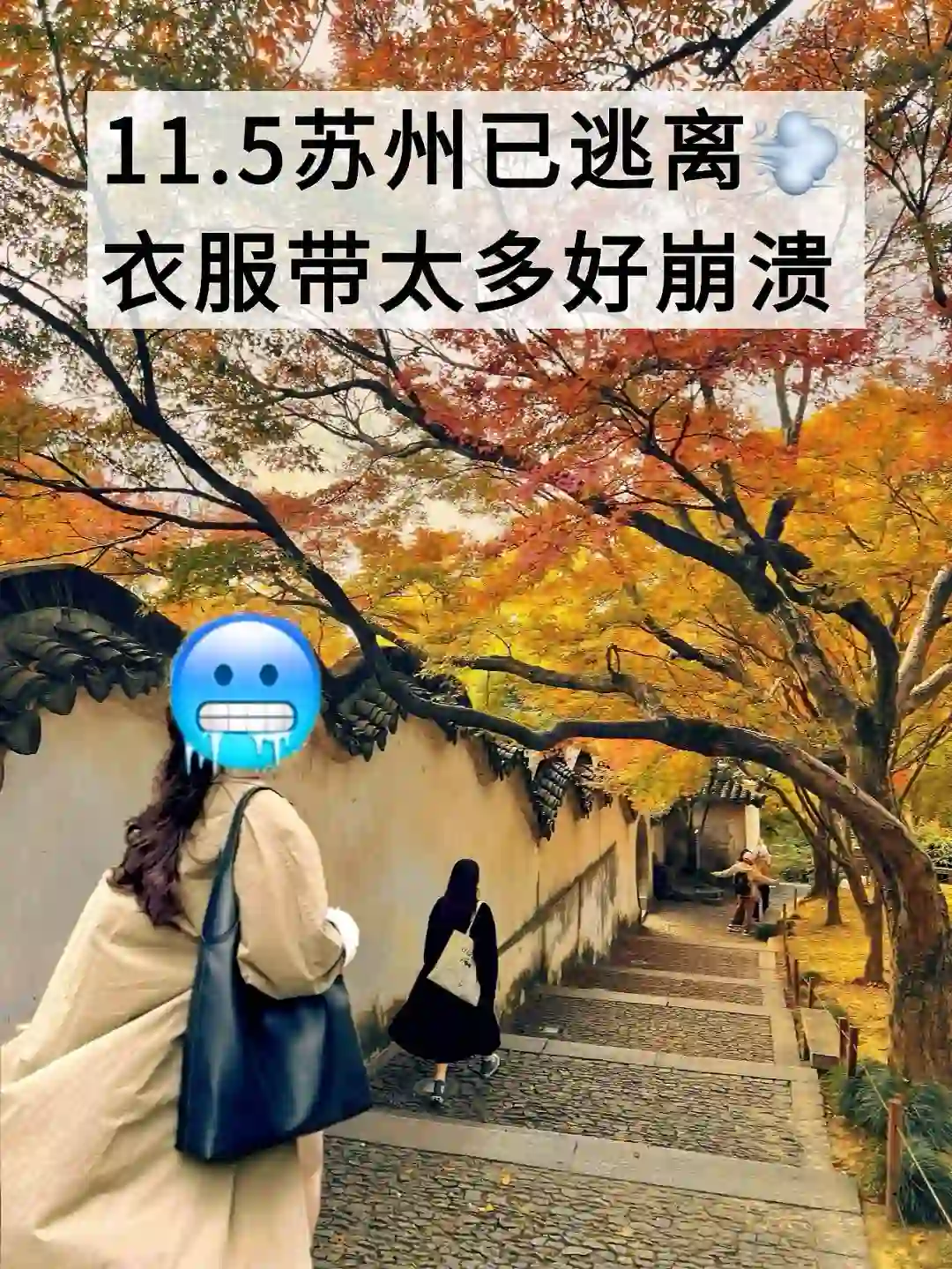 苏州11🈷️现状！！真的别被骗了！