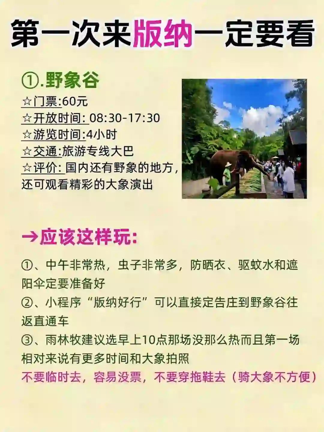 西双版纳旅游行程安排