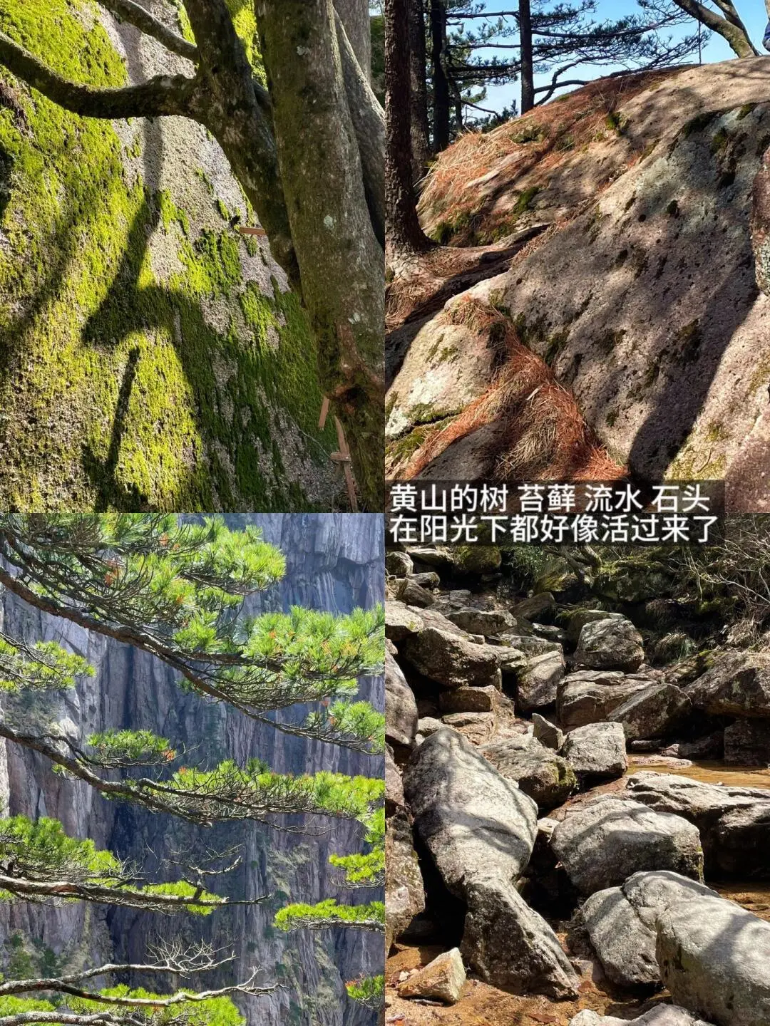 黄山旅游保姆级攻略指南✨主打一个省心