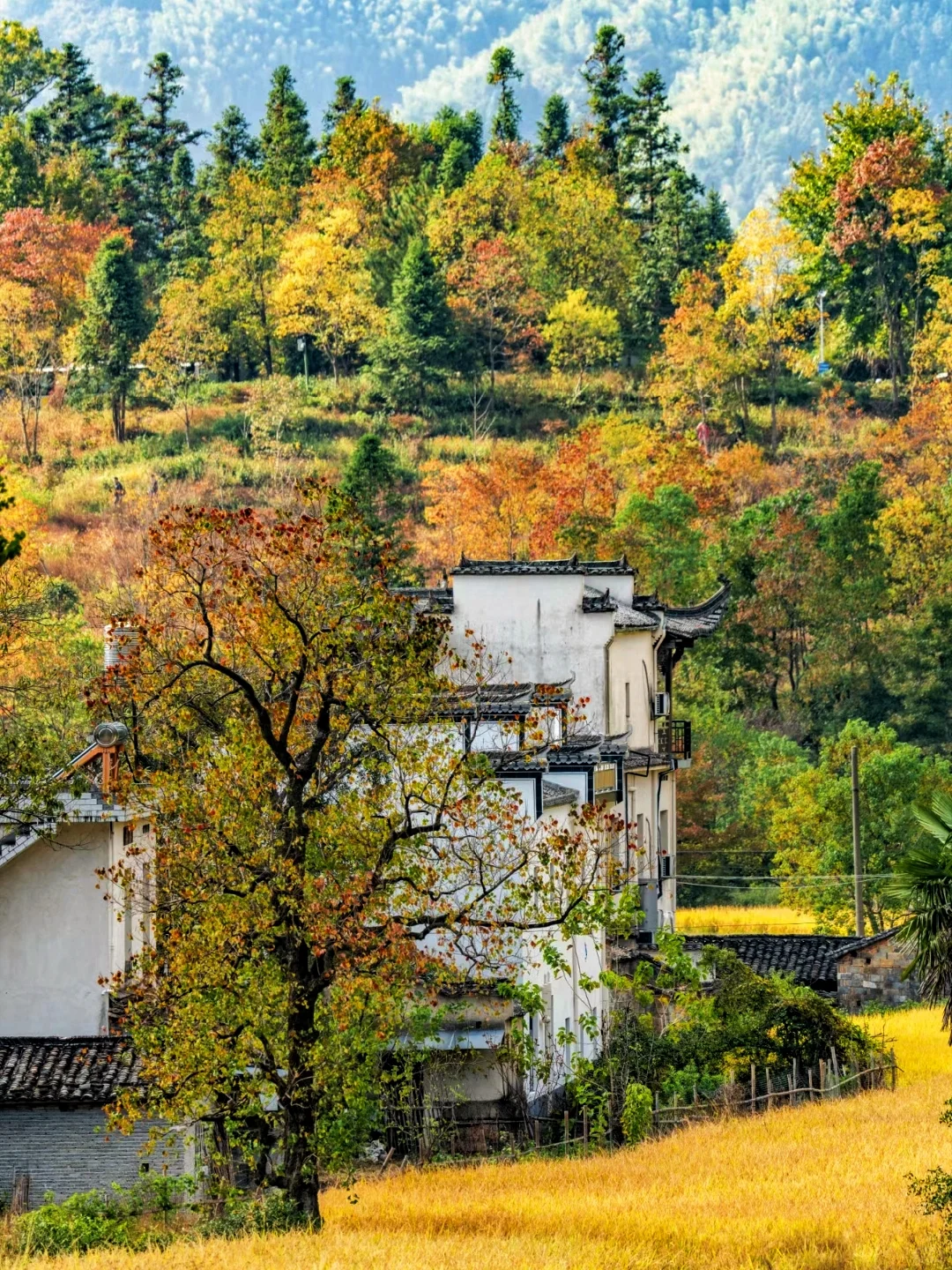 塔川赏秋‖11月徒步踏秋推荐🍁内含攻略✔