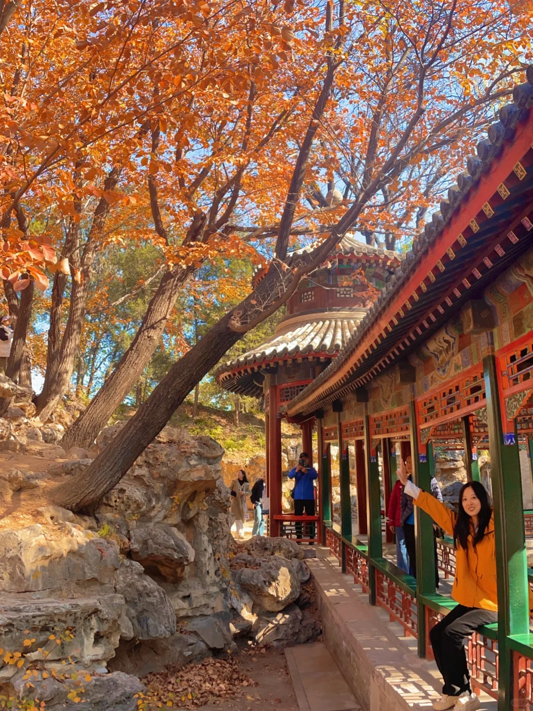 颐和园后湖📍11.5日实况🍂大风过后叶子还在