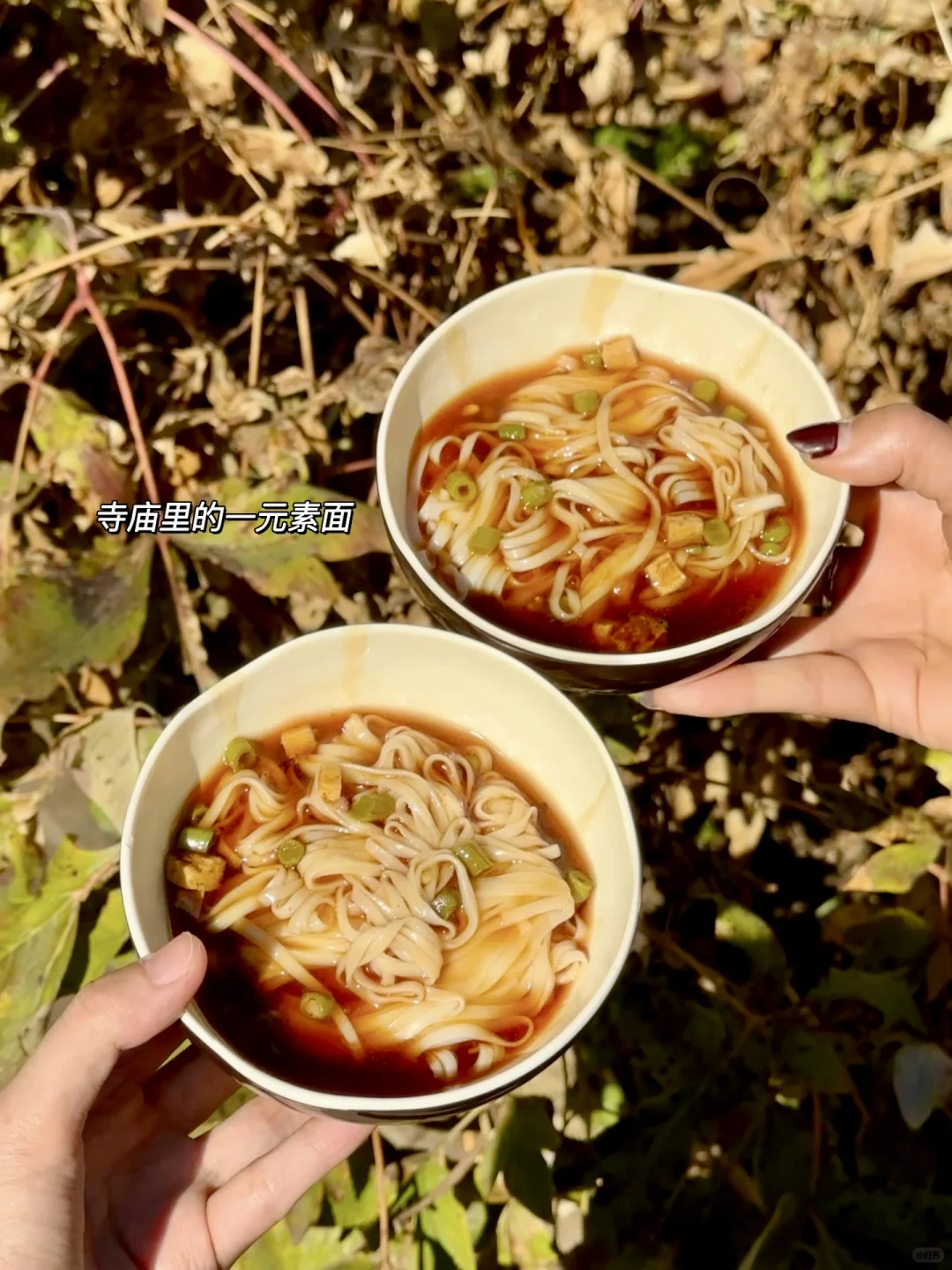 11.6灵岩寺的千年银杏🍂再不来就真的错过了