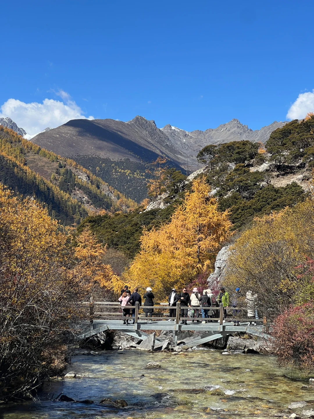 10.30📍川西已回，近期live实况直出劝退不了