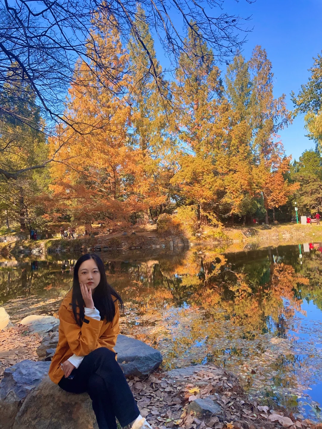 颐和园后湖📍11.5日实况🍂大风过后叶子还在