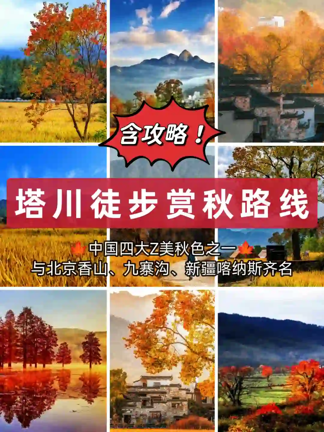 塔川赏秋‖11月徒步踏秋推荐🍁内含攻略✔