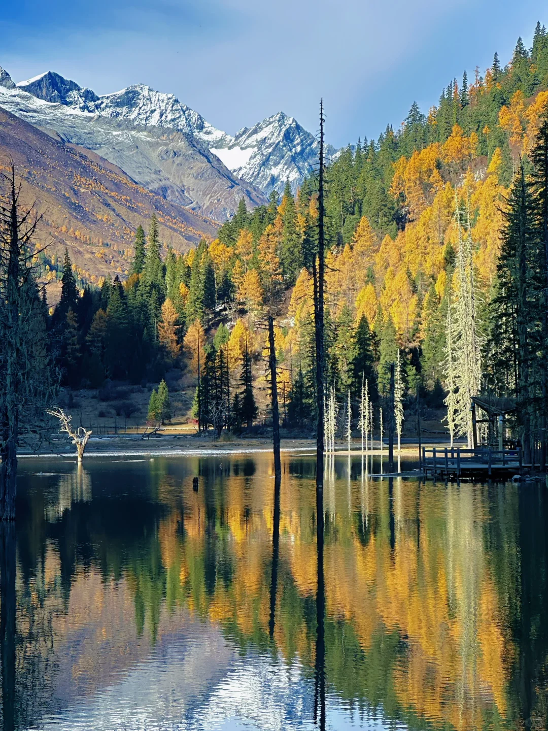 11月初去往四姑娘山‼️踩坑踩出来的攻略