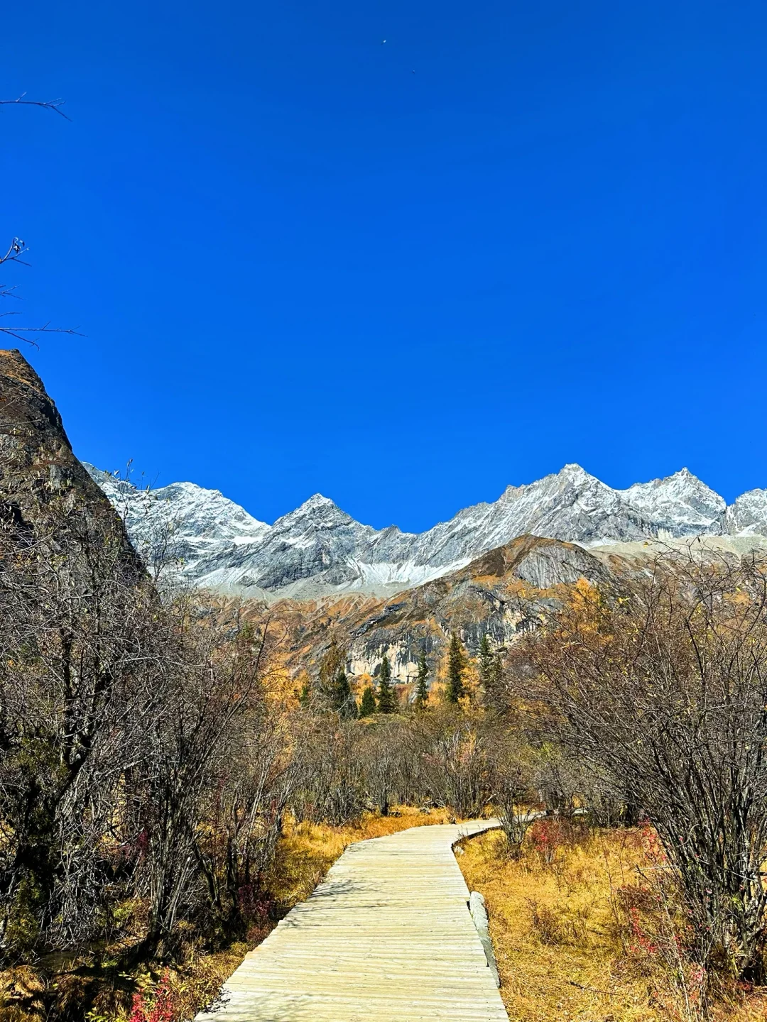 11月初去往四姑娘山‼️踩坑踩出来的攻略