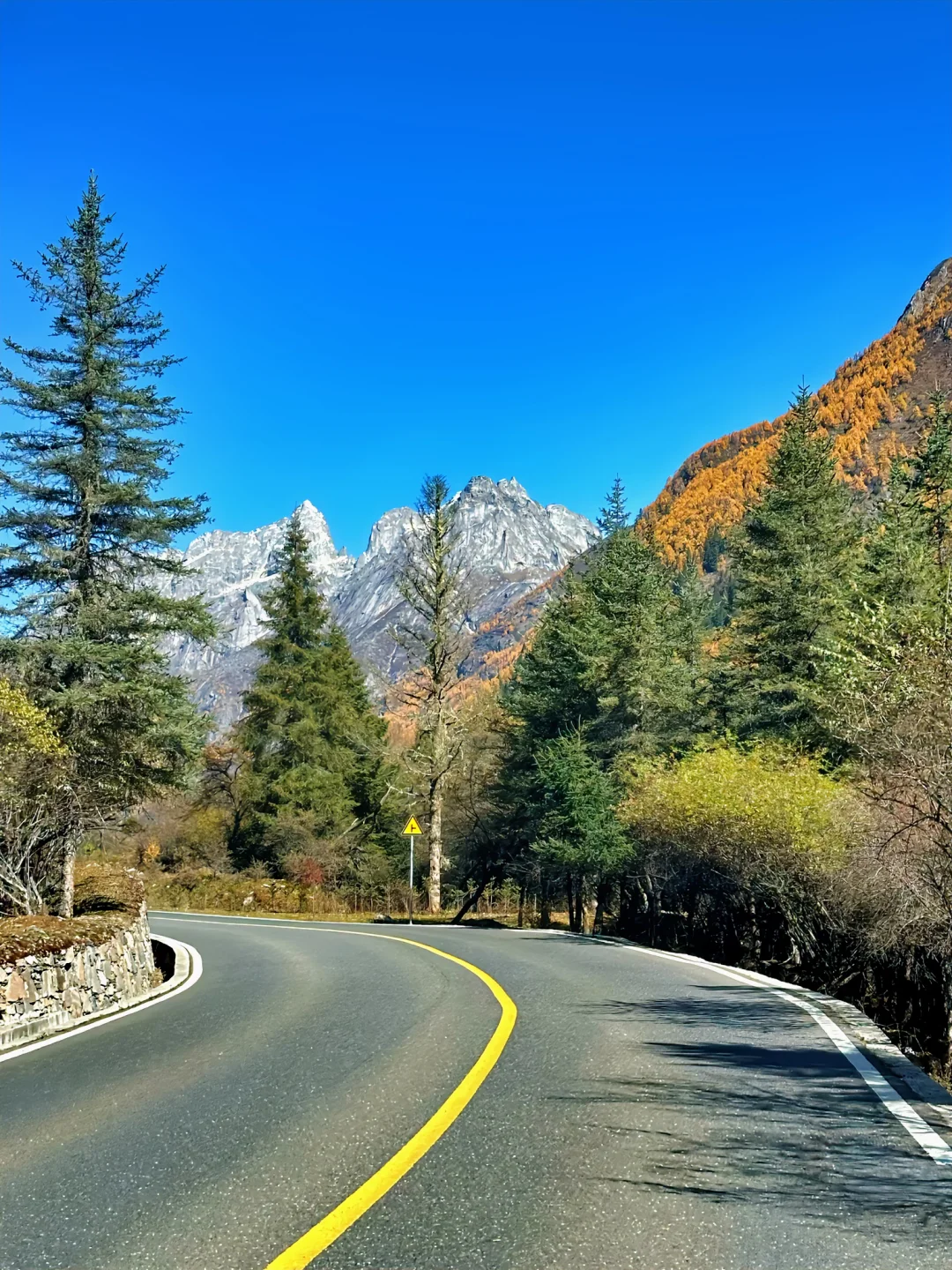 11月初去往四姑娘山‼️踩坑踩出来的攻略