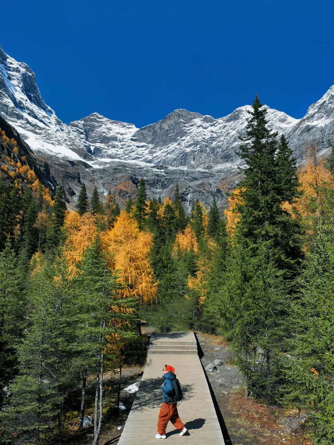 11月初去往四姑娘山‼️踩坑踩出来的攻略