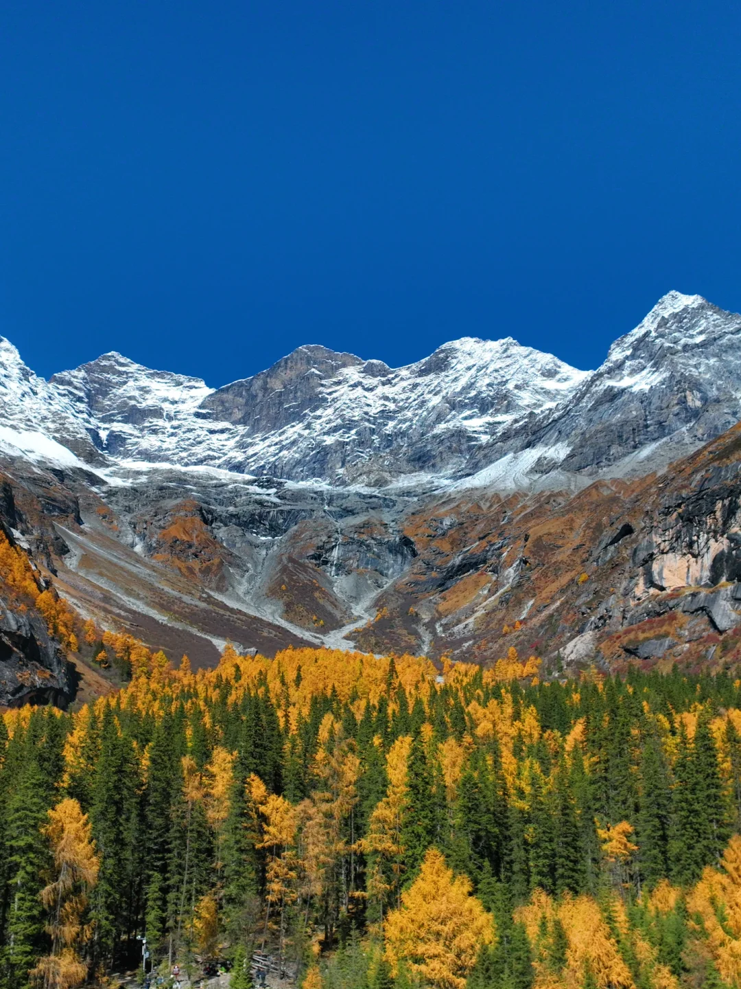 11月初去往四姑娘山‼️踩坑踩出来的攻略