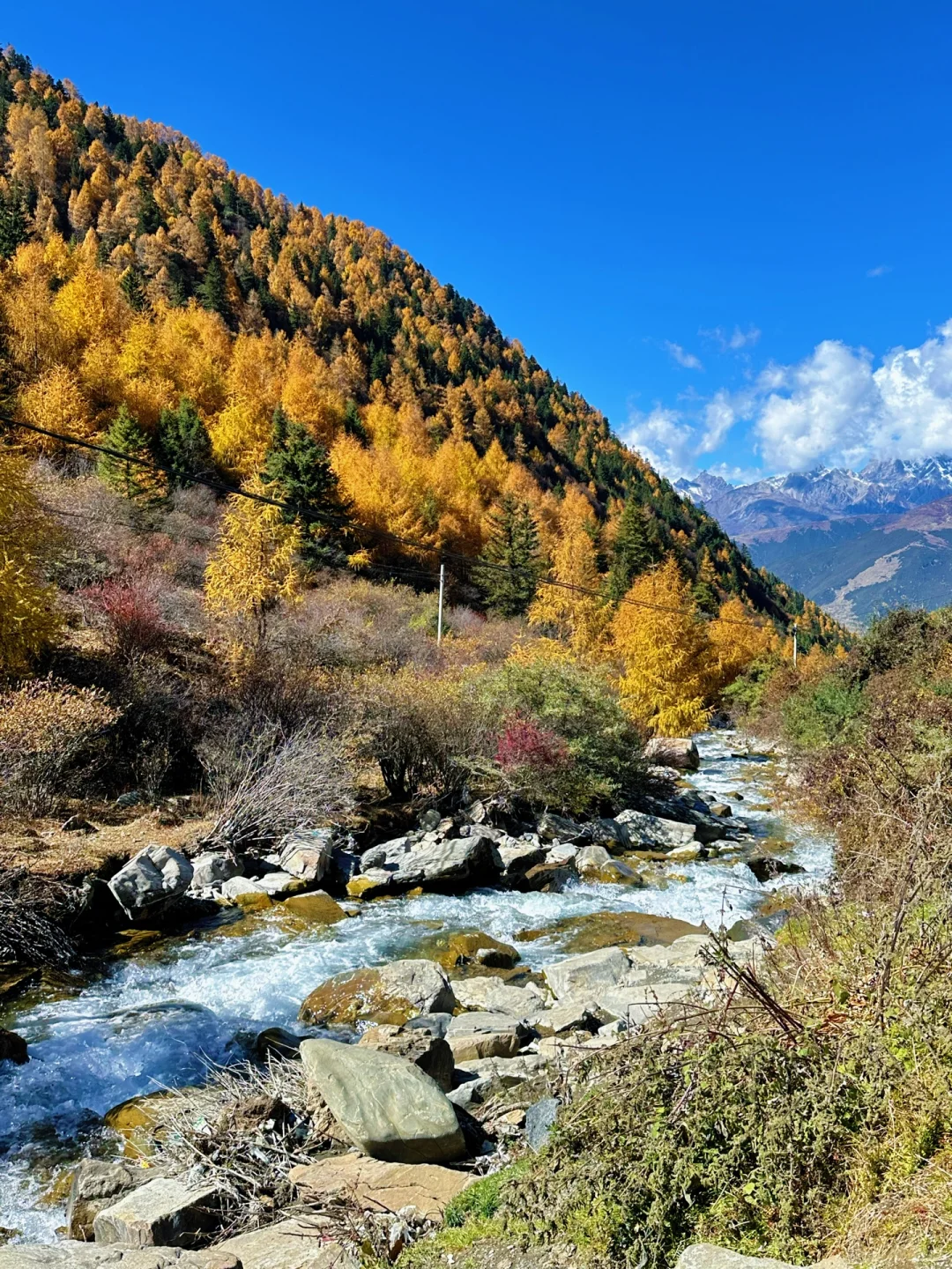 11月初去往四姑娘山‼️踩坑踩出来的攻略