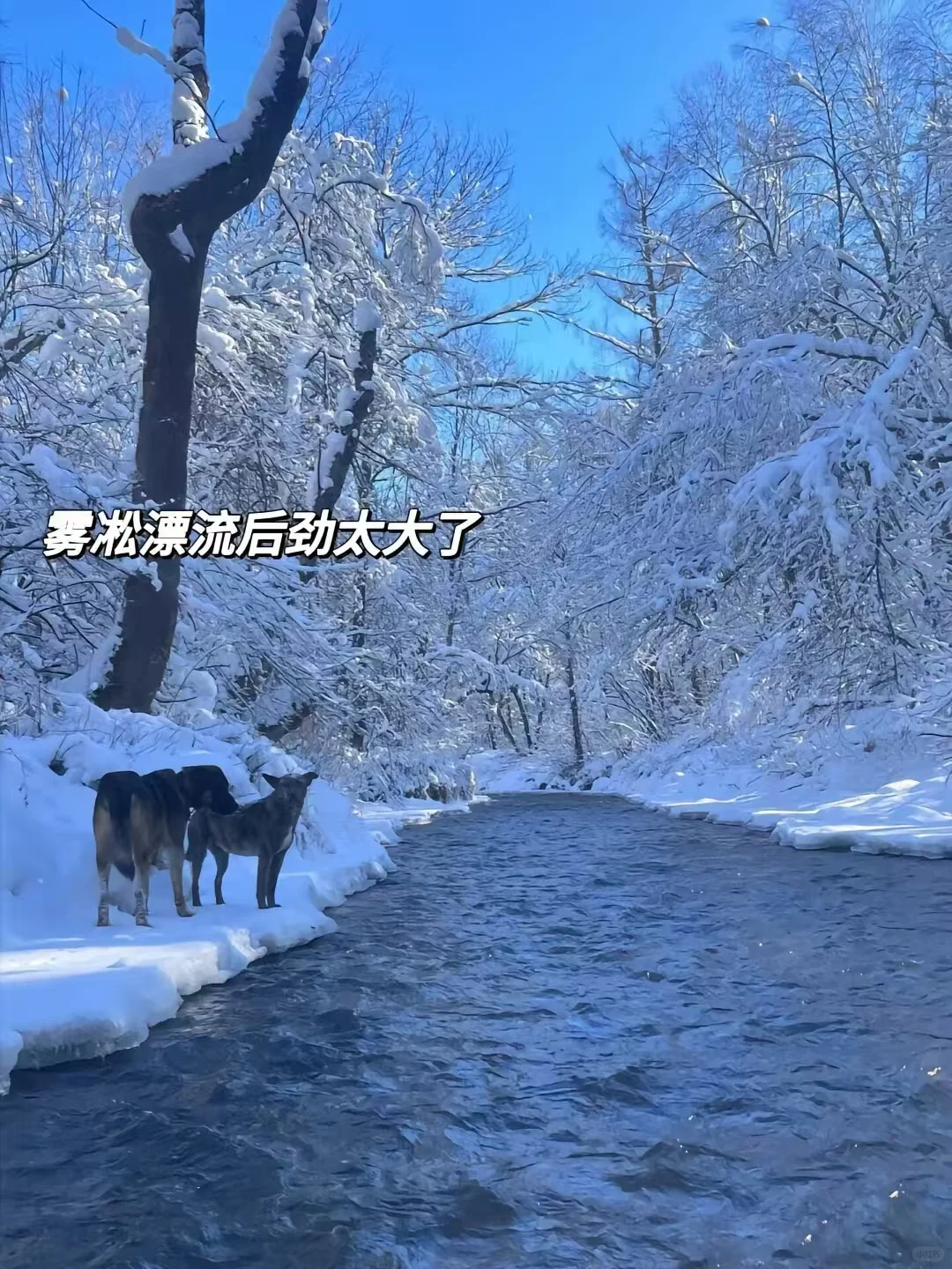 11月不去长白山！你糊涂啊😭