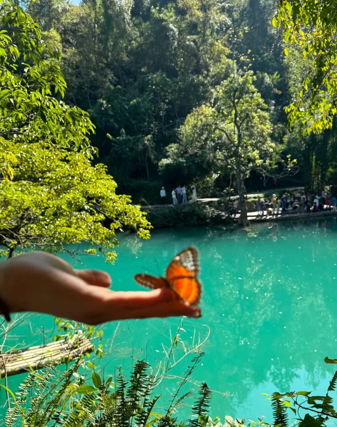 贵州淡季反向旅游太香啦！2k玩六天...