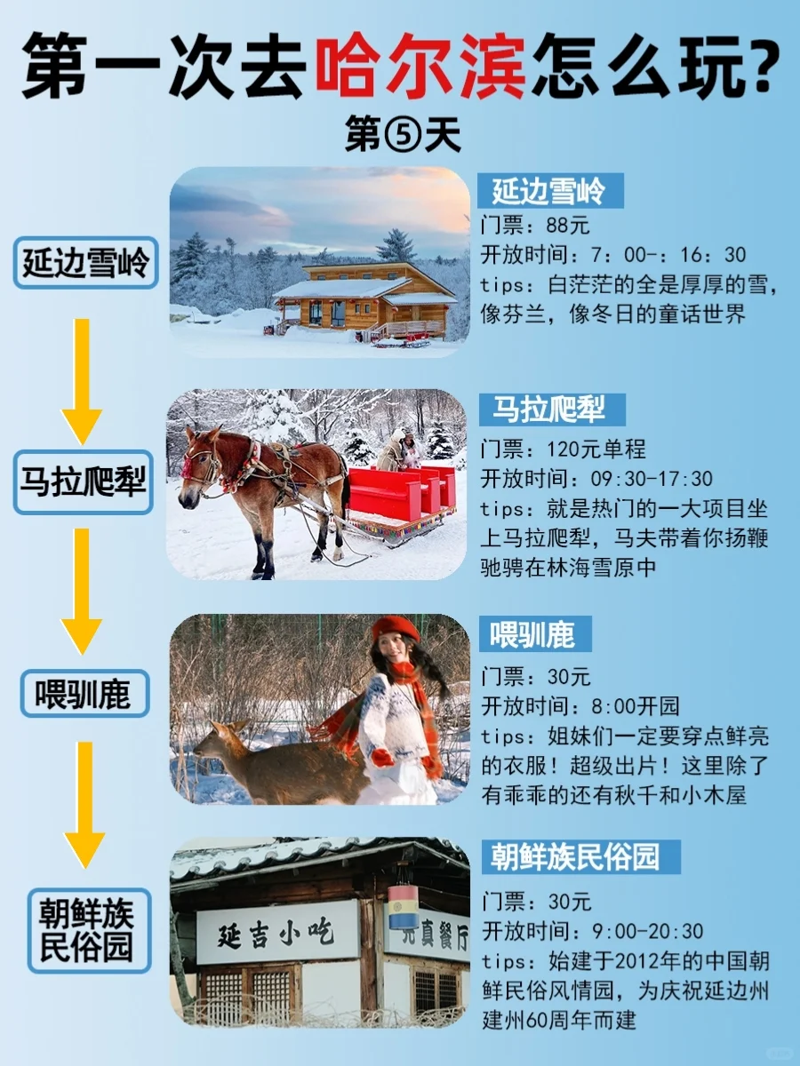 第一次去哈尔滨旅游这样玩❗6天旅游攻略