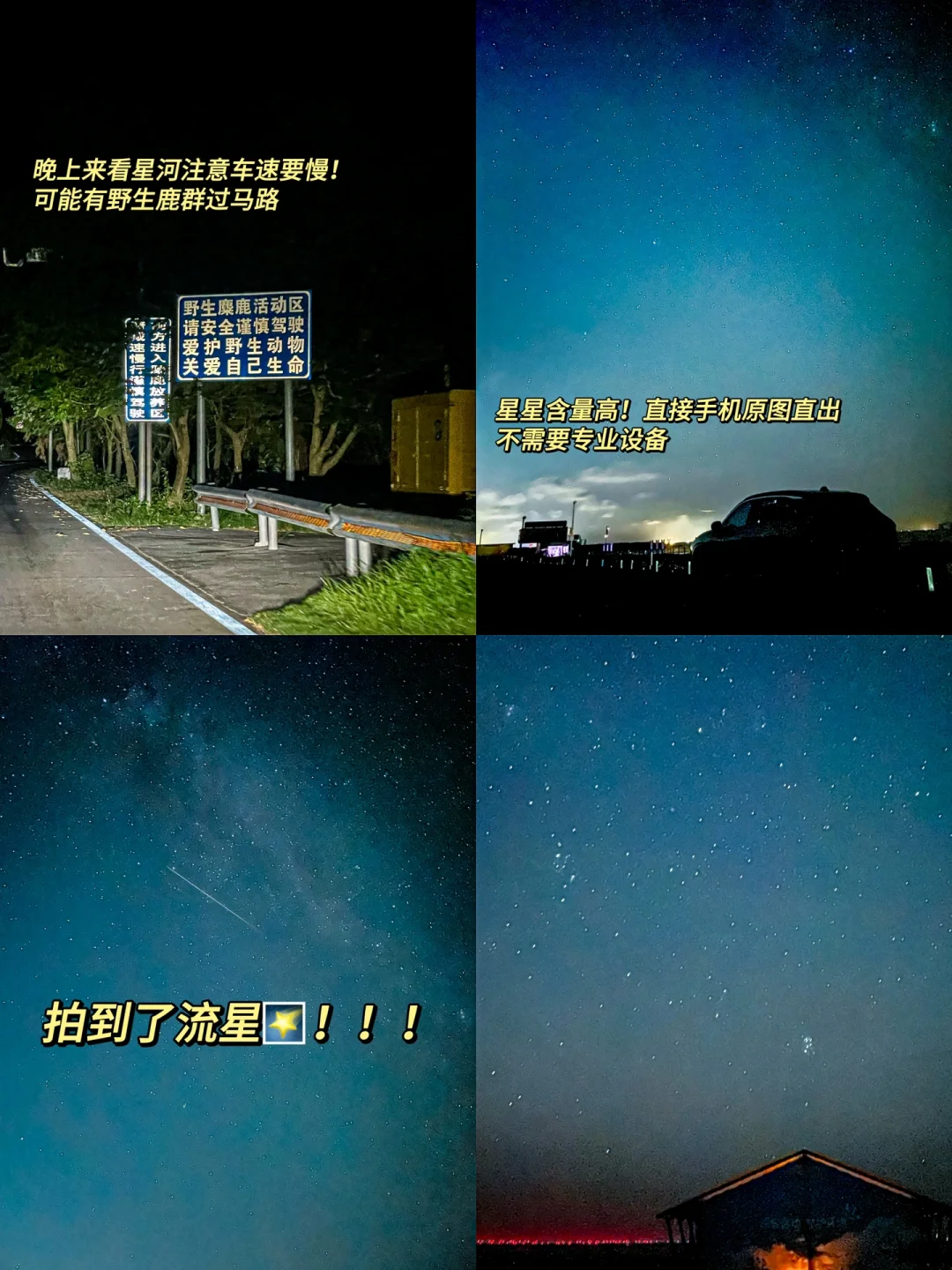 刚从盐城回来🚗整理了3天2晚全攻略