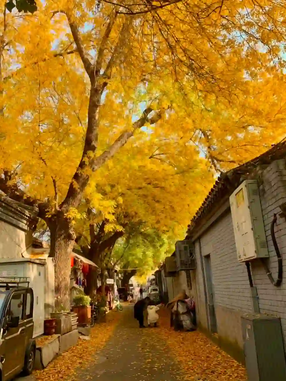 秋天的北平🍁打卡景点汇总-北京秋天～