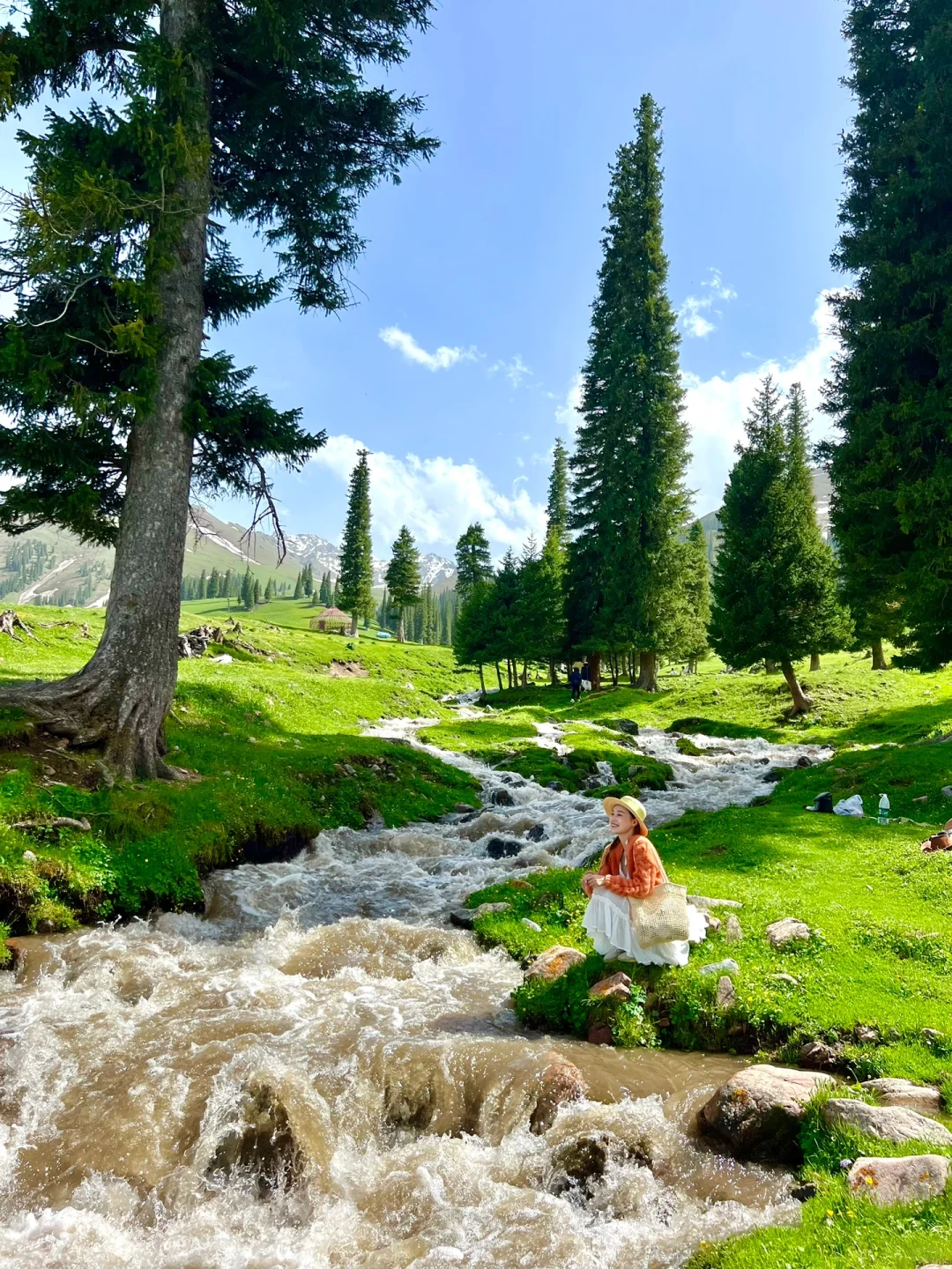 live图的意义🌳，这是我梦中的那片草原吧！