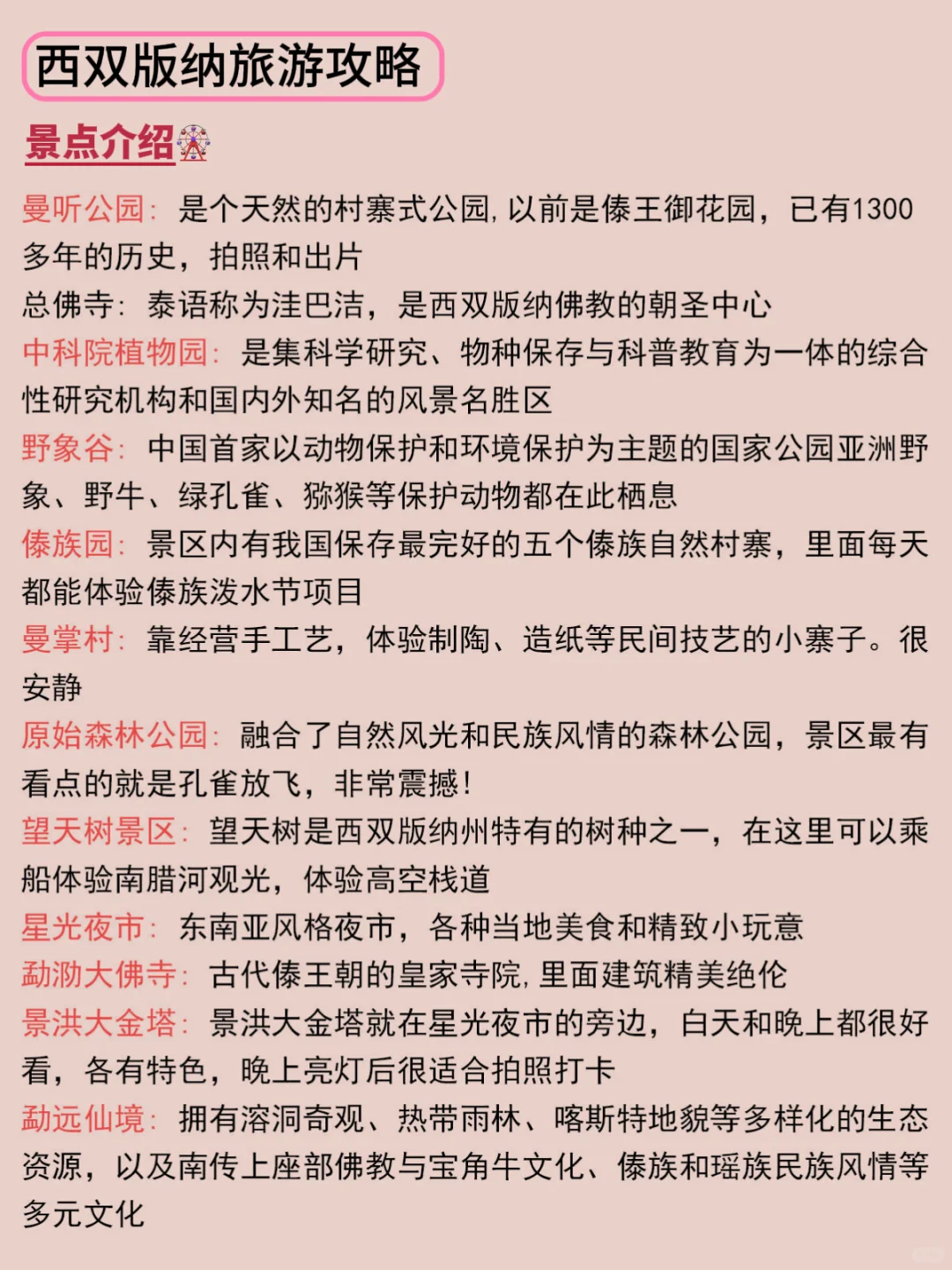 到了西双版纳，才发现自己带的衣服有多可笑