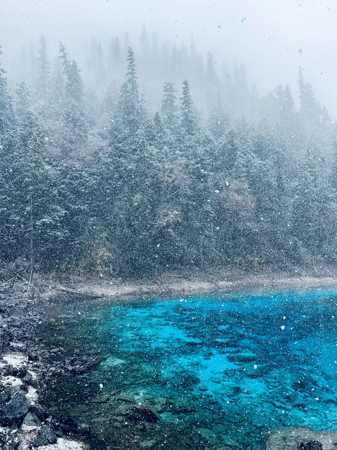 强烈推荐11月后的九寨沟，雪景+半价+人少!!