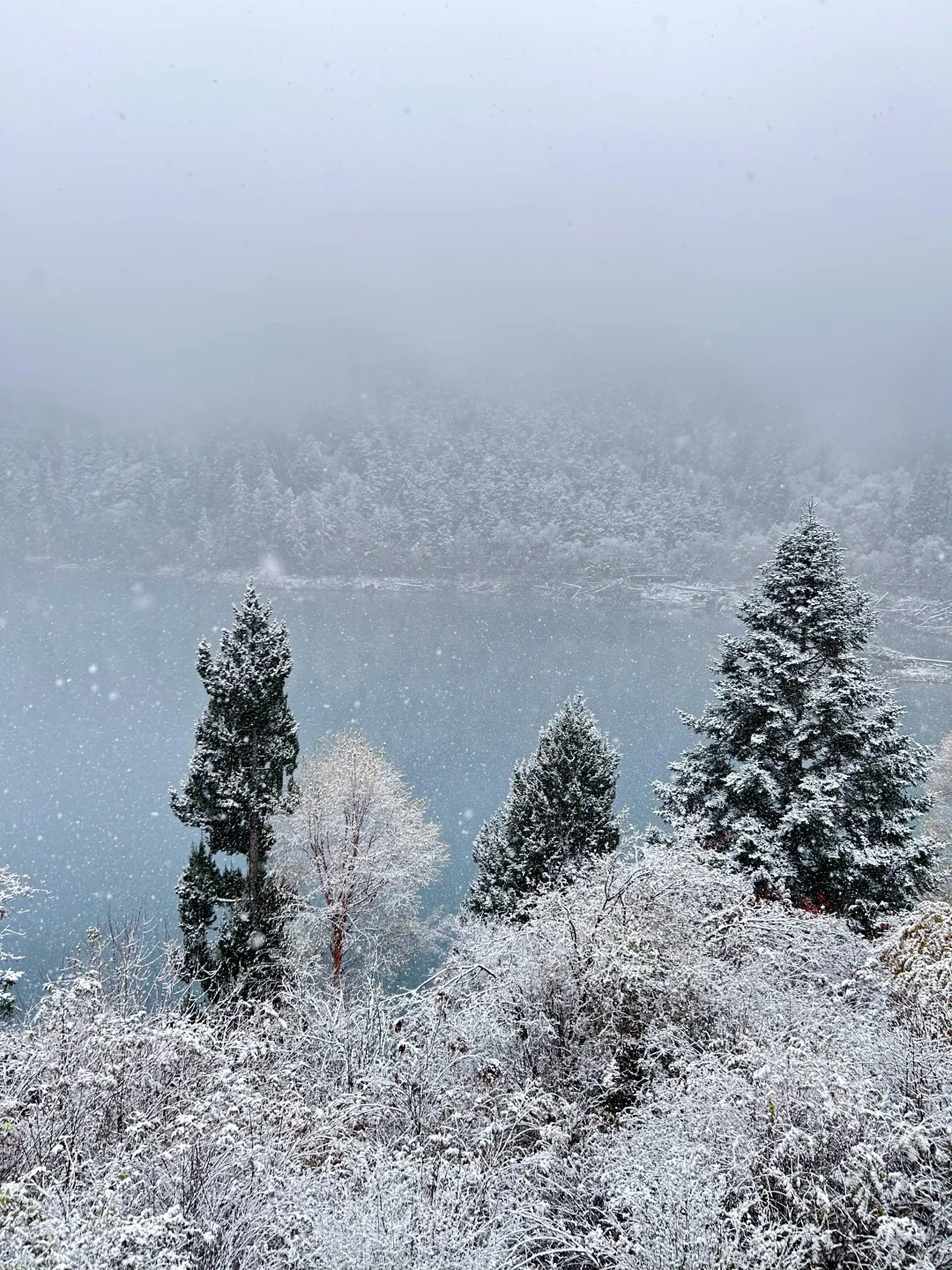 强烈推荐11月后的九寨沟，雪景+半价+人少!!