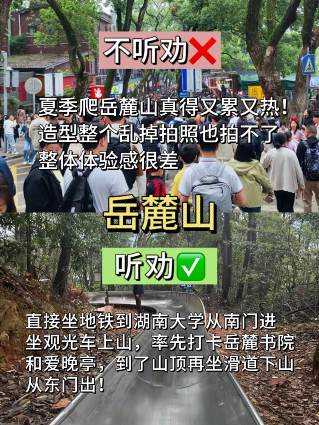 长沙景点｜橘子洲🆚岳麓山‼️打卡要听劝呀😭