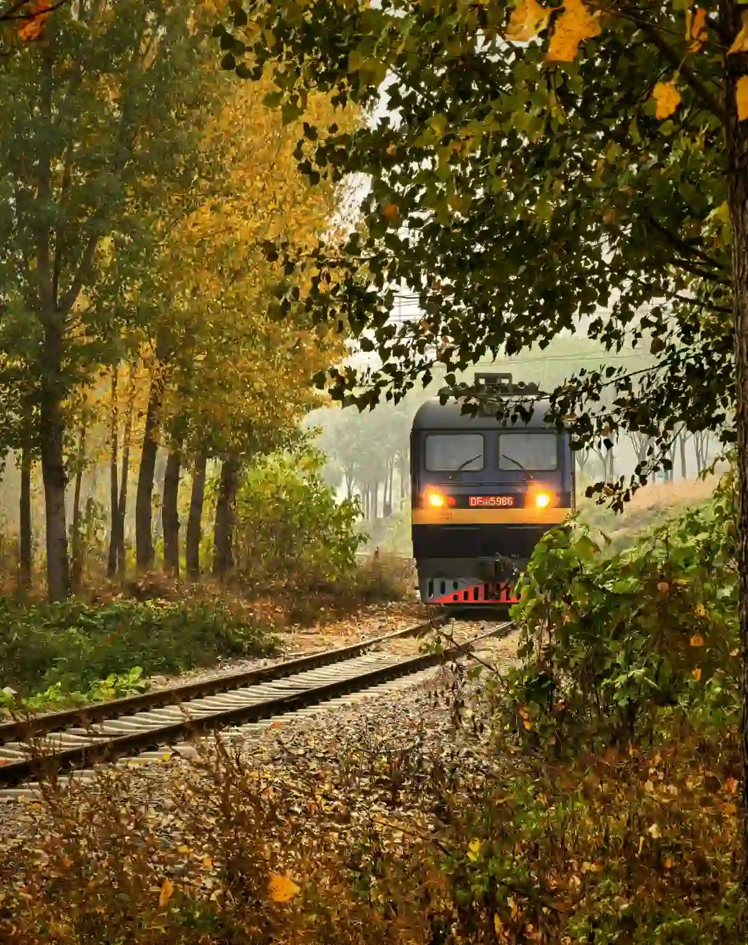 独属于石家庄的浪漫🚆开往深秋的列车