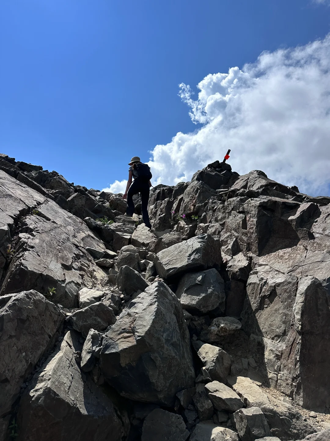 人生是旷野📍panorama ridge