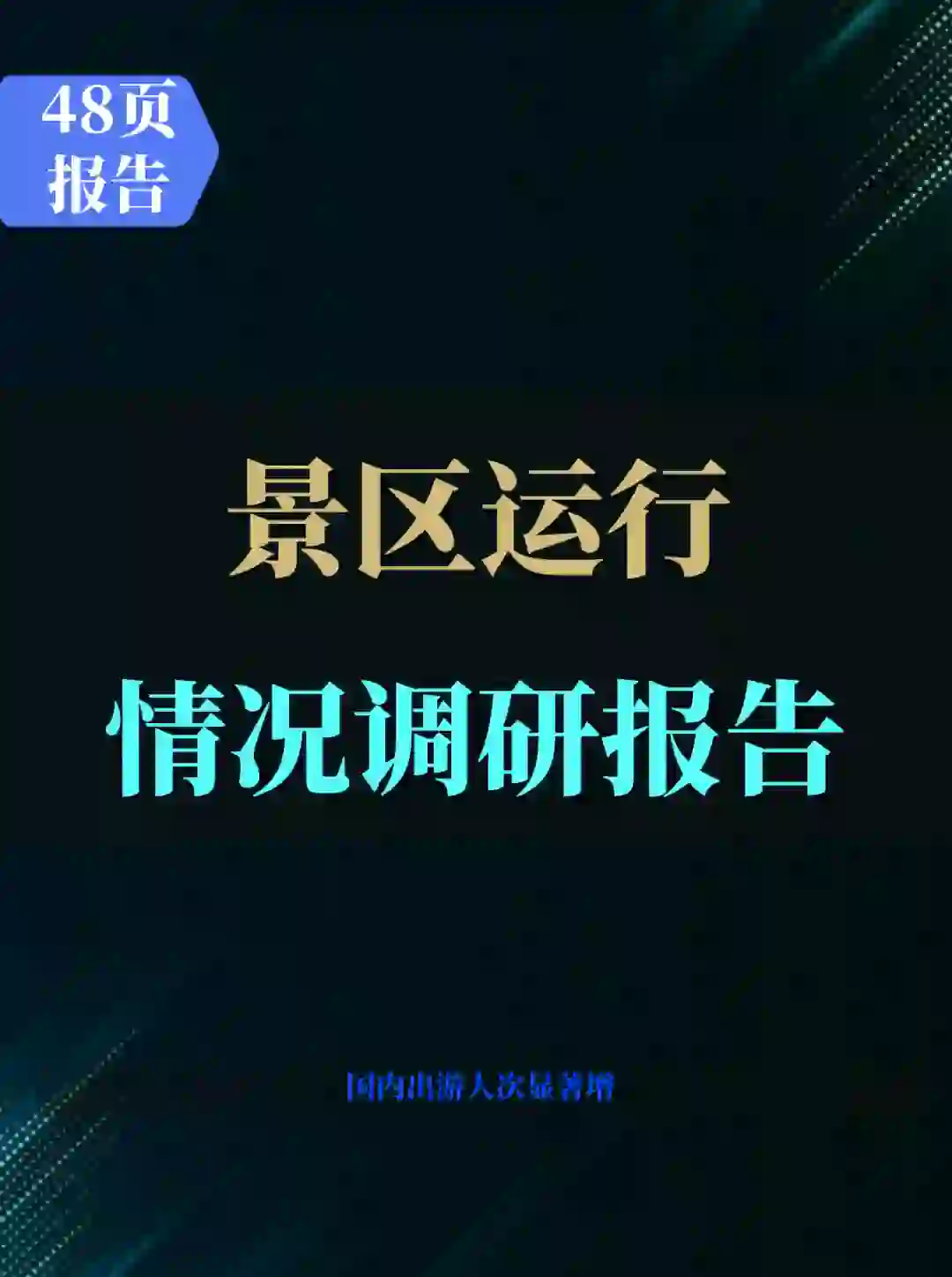 2024景区运行情况调研报告