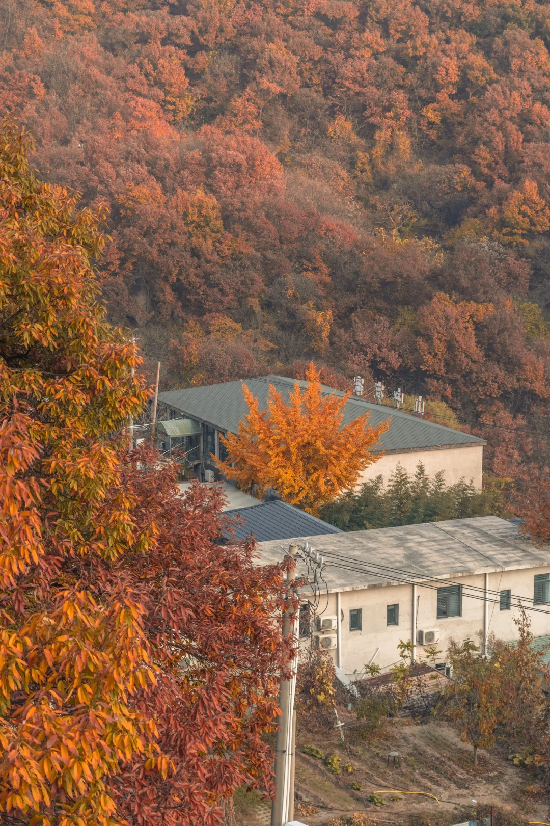 北少林寺｜蓟县藏的可真深，竟还有座少林寺