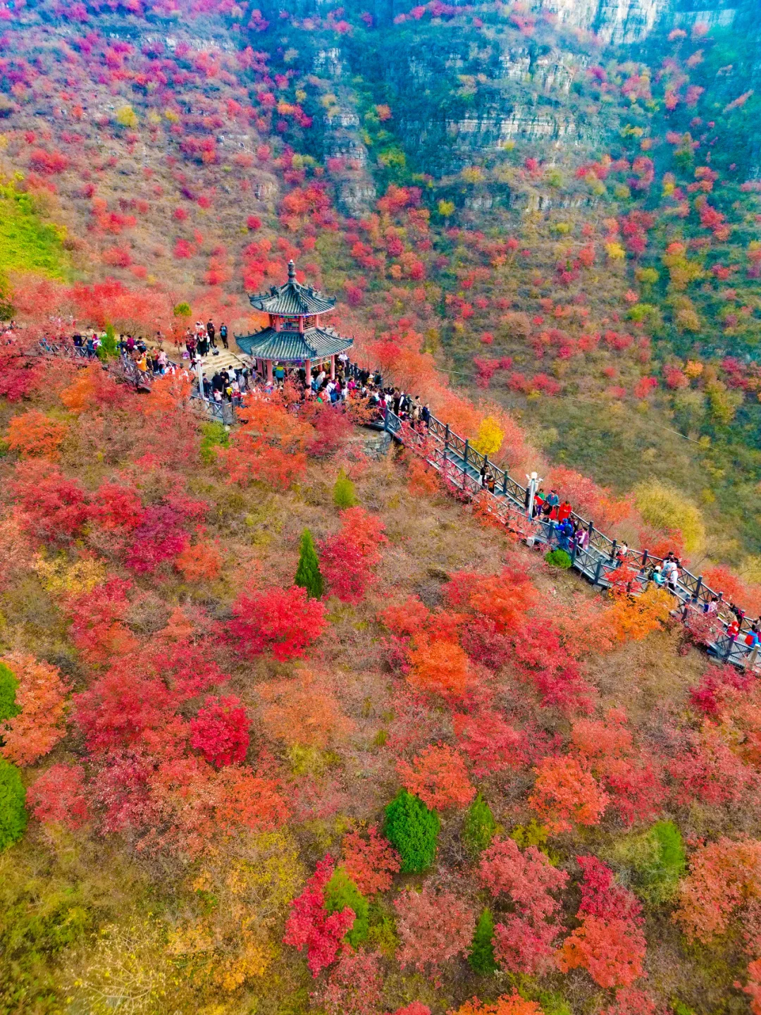 通知:北京的秋色已结束。但是这里刚开始！