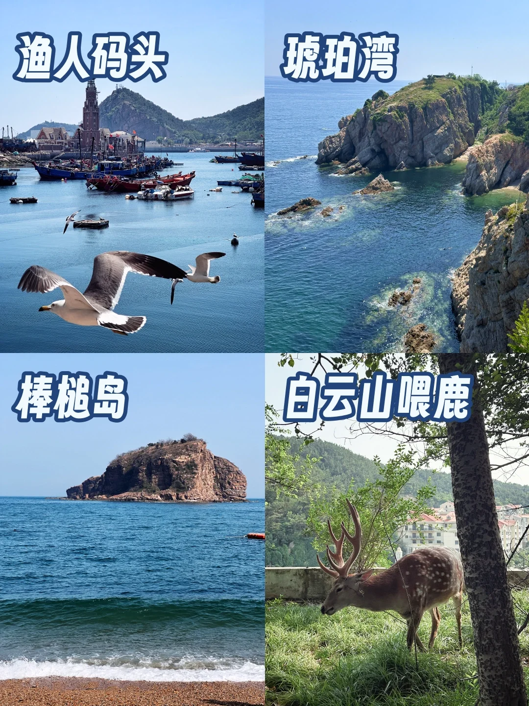 来大连就看这一篇🙌景点&美食地图合集攻略