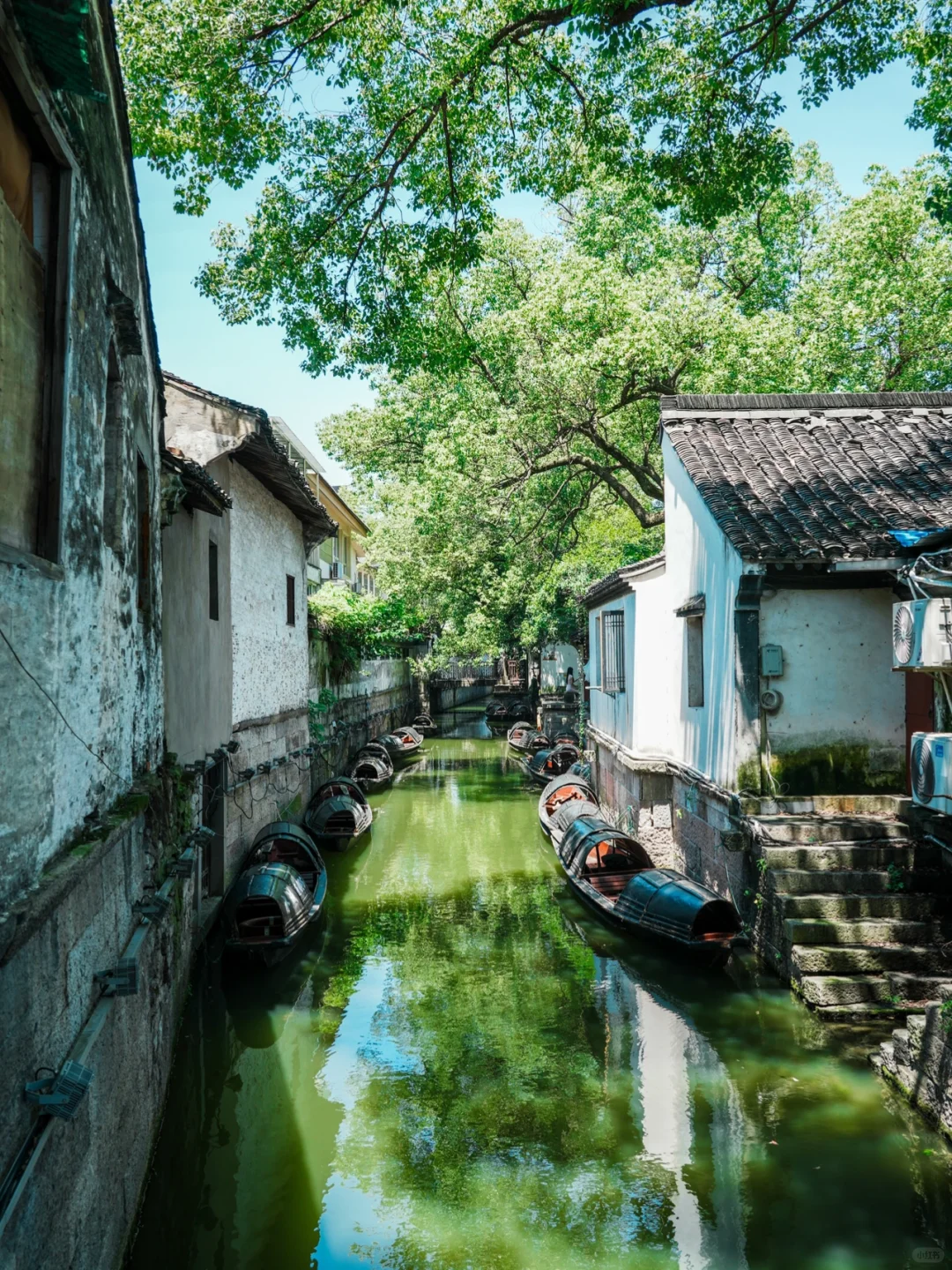 今年为止，我最喜欢的旅游城市出现了🌳