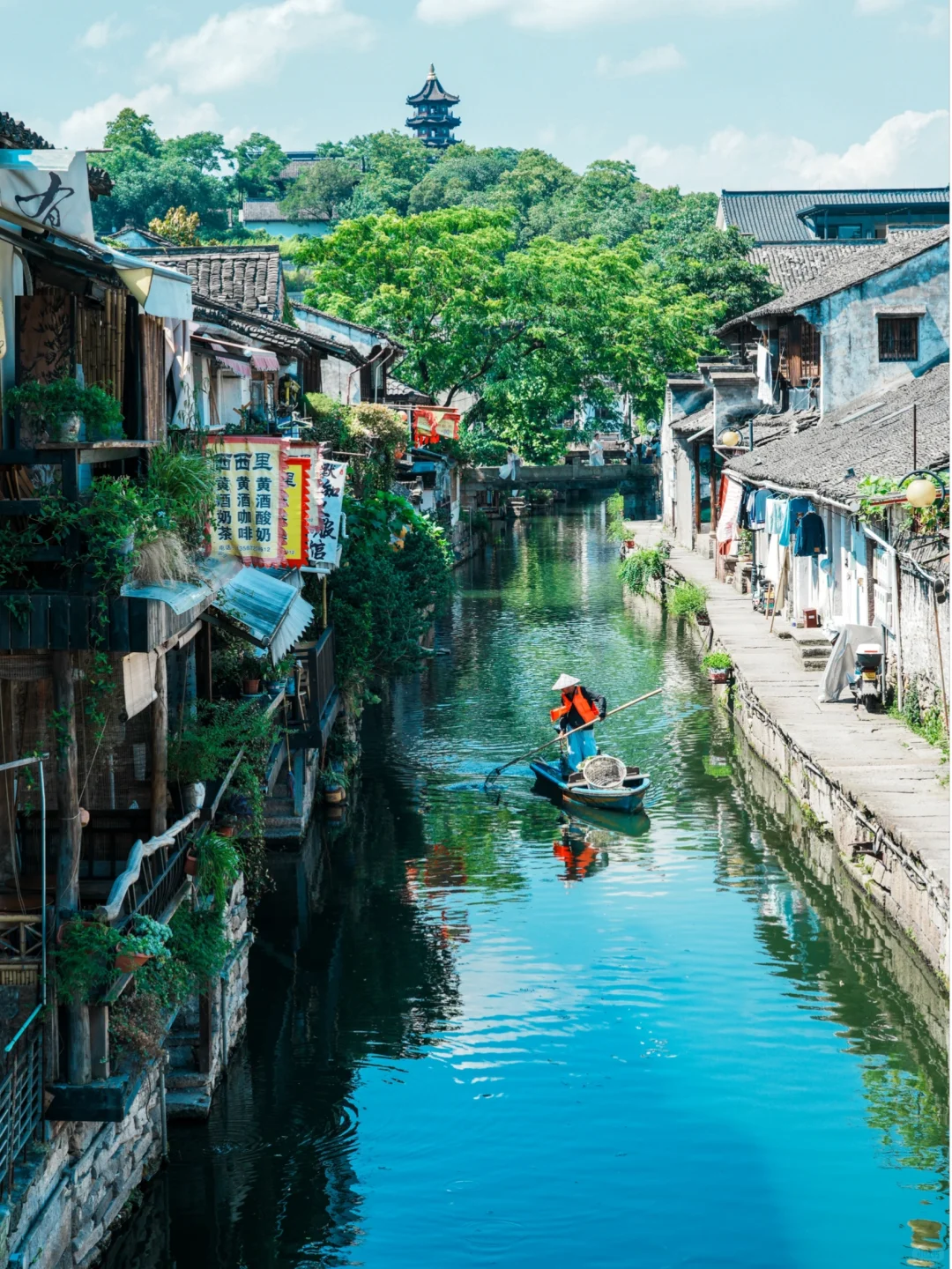 今年为止，我最喜欢的旅游城市出现了🌳