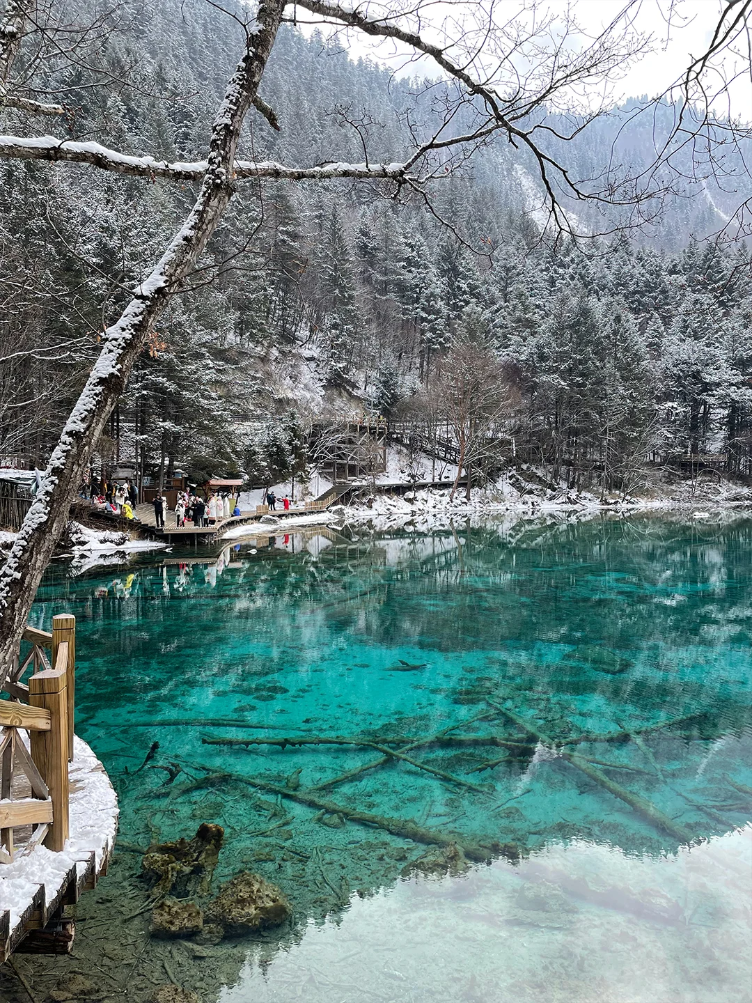 淡季去九寨沟看雪，高铁2天时间拿下