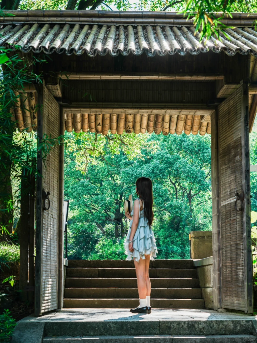 今年为止，我最喜欢的旅游城市出现了🌳