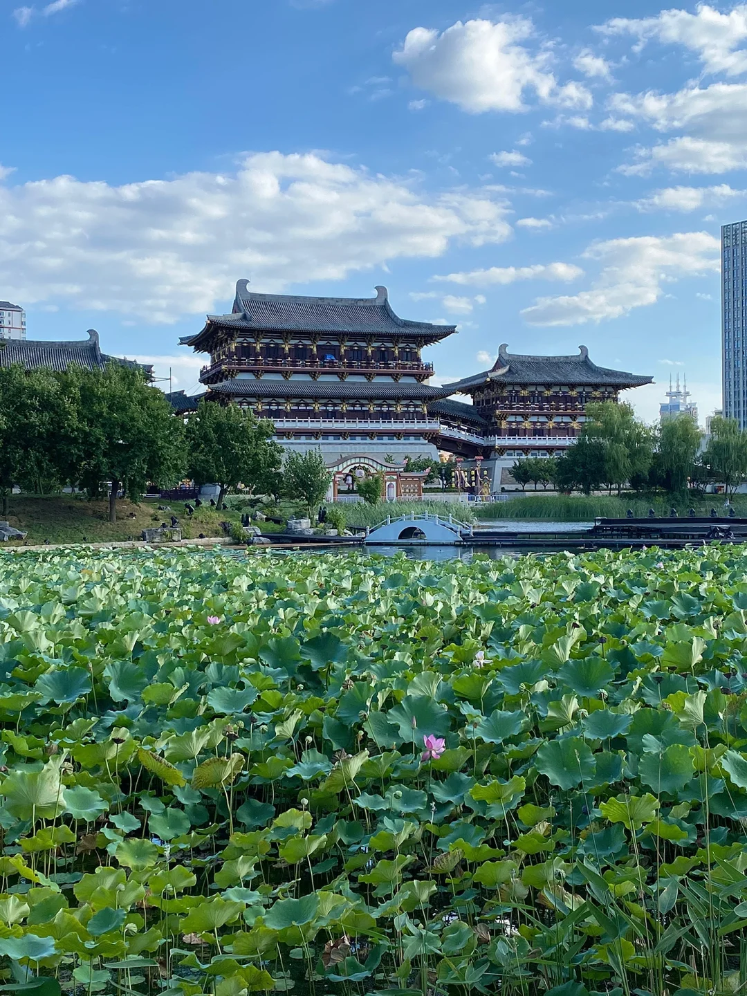 04男大暑假三日游📍洛阳｜洛阳真的很好玩‼️