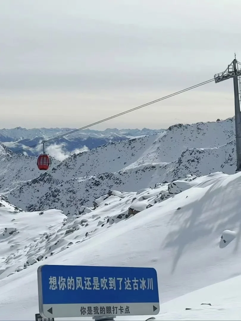 11.13📍川西已回，live实况原图出，劝退不了