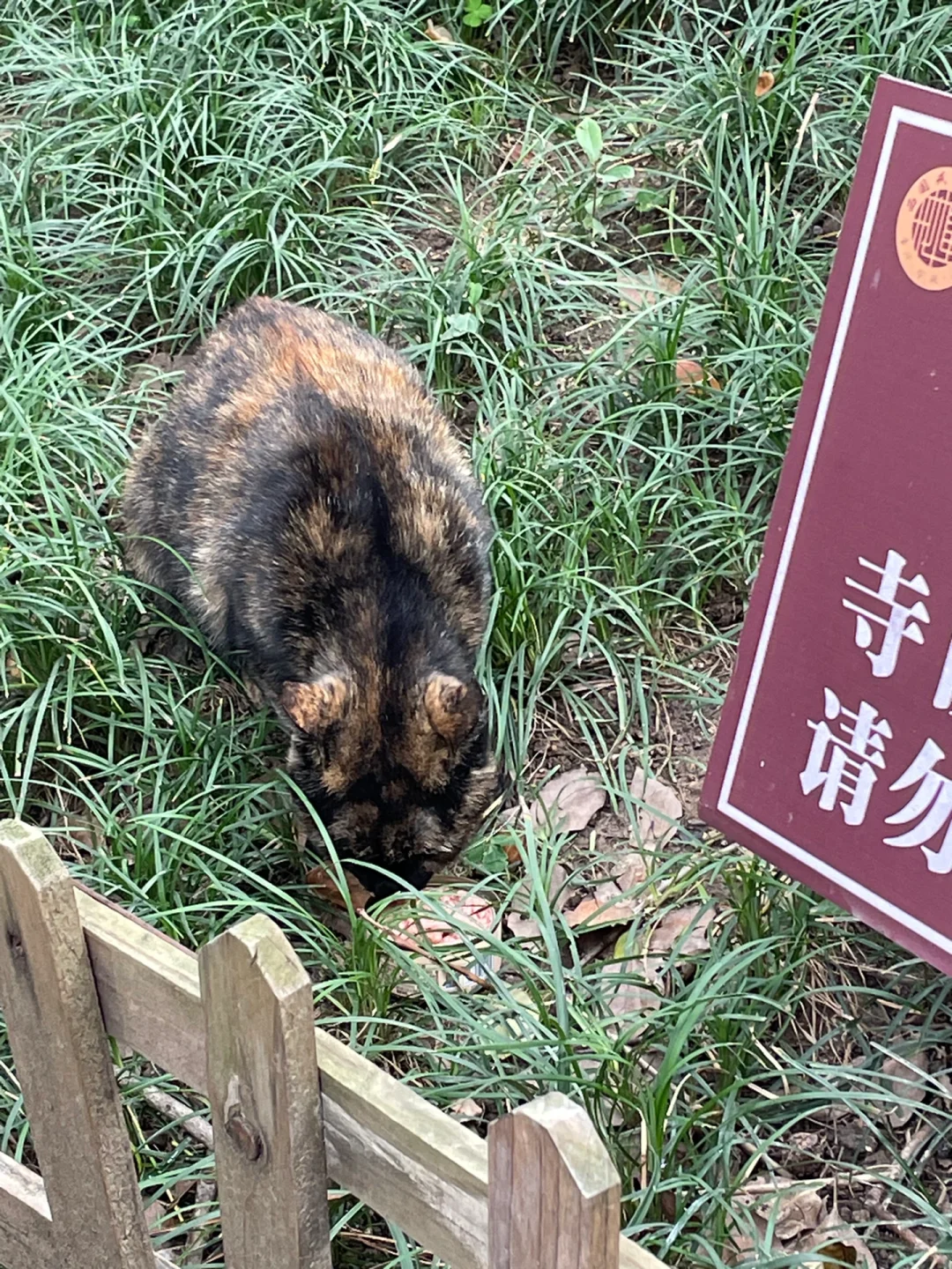 写给11-12来苏州旅游的姐妹👭超全避雷攻略