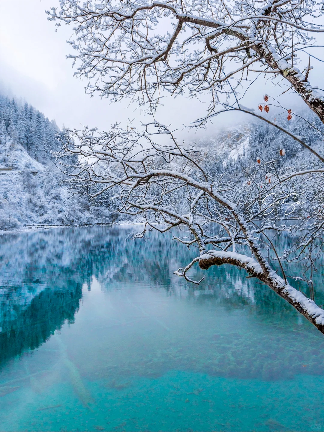 淡季去九寨沟看雪，高铁2天时间拿下