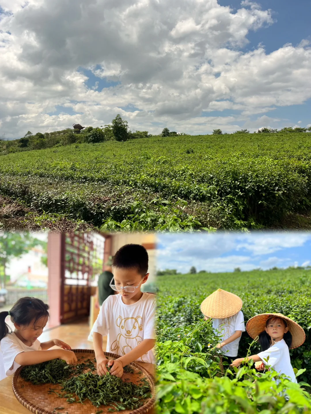 💐迄今为止，我最喜欢的亲子游城市出现了