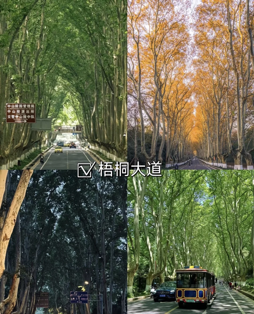 📍南京旅游攻略大放送！家人们，这些景点你们