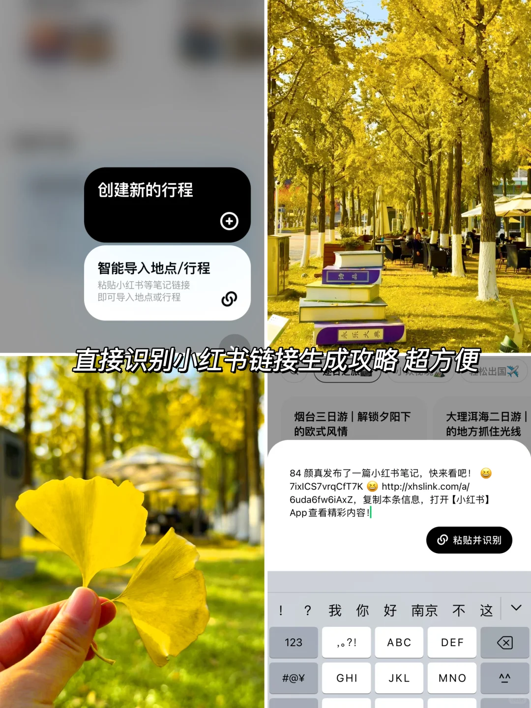 11.11实拍Live！南京美到哭的银杏大道😭没人