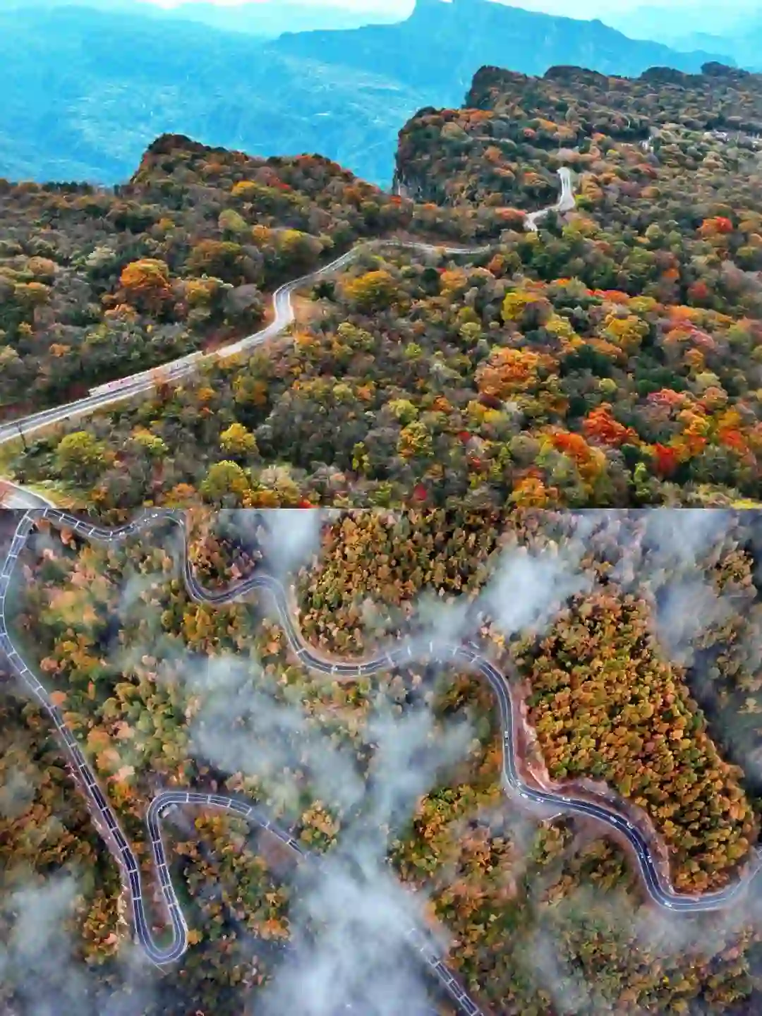 成都周边小众赏秋！🍂像童话里的彩林山谷…