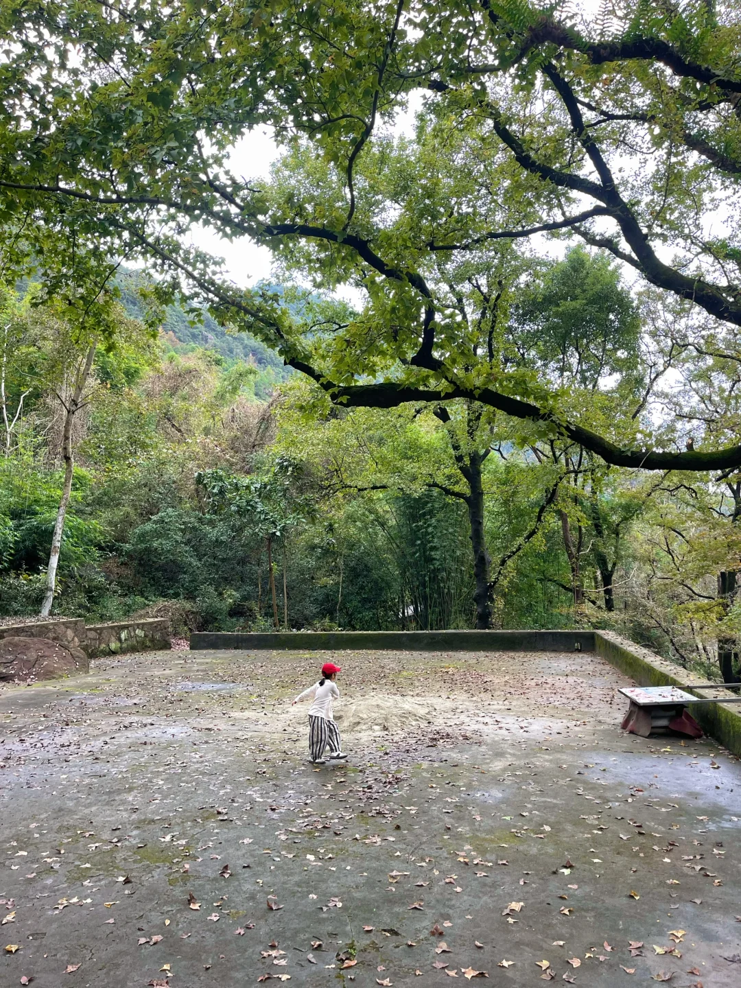 温州徒步 | 这条亲子友好路线一定要去！⛰️