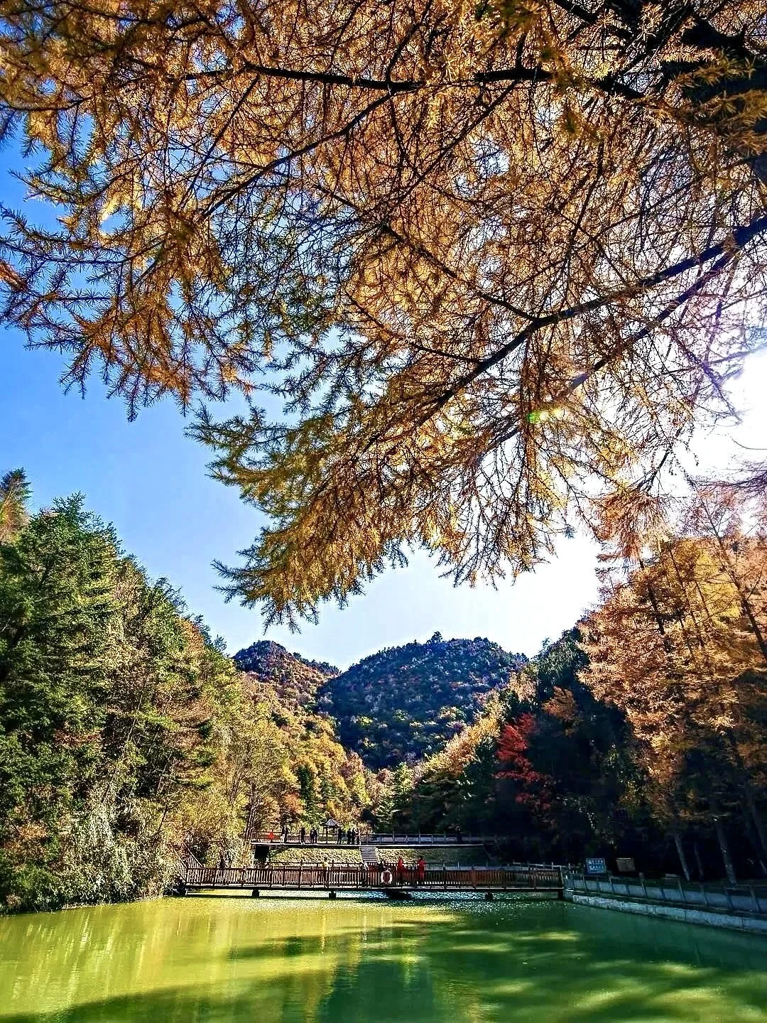 成都周边小众赏秋！🍂像童话里的彩林山谷…