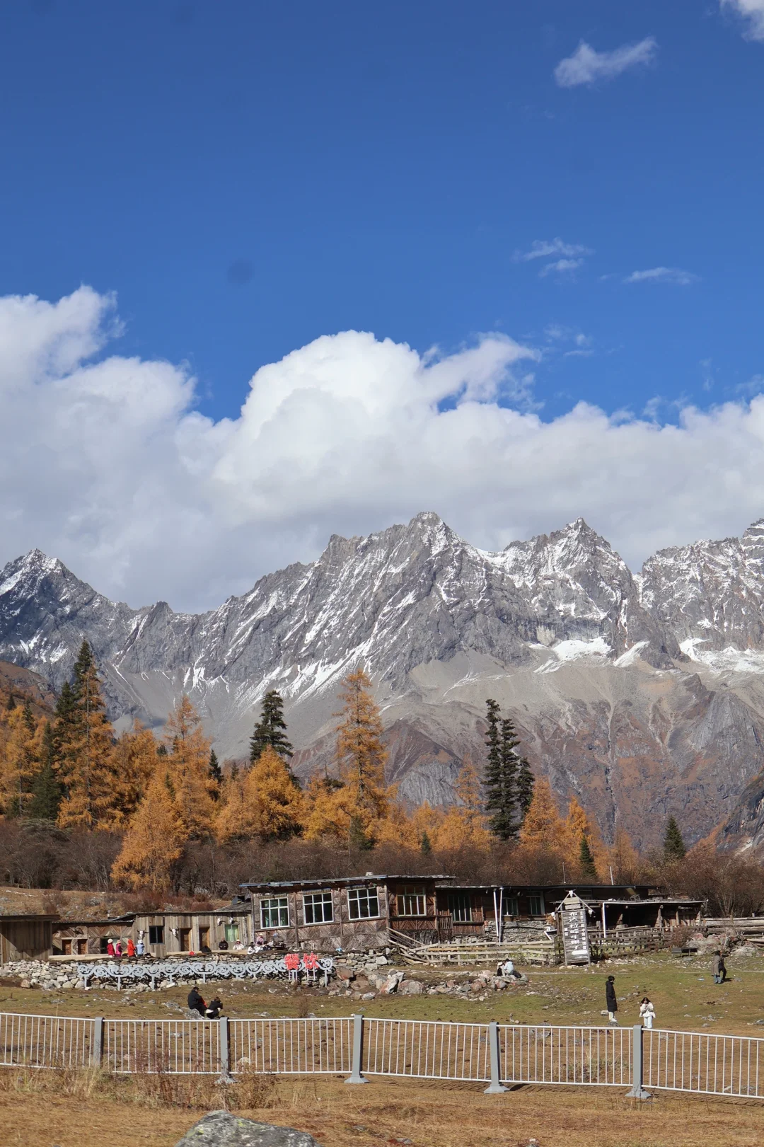 秋天去四姑娘山 双桥沟🍂