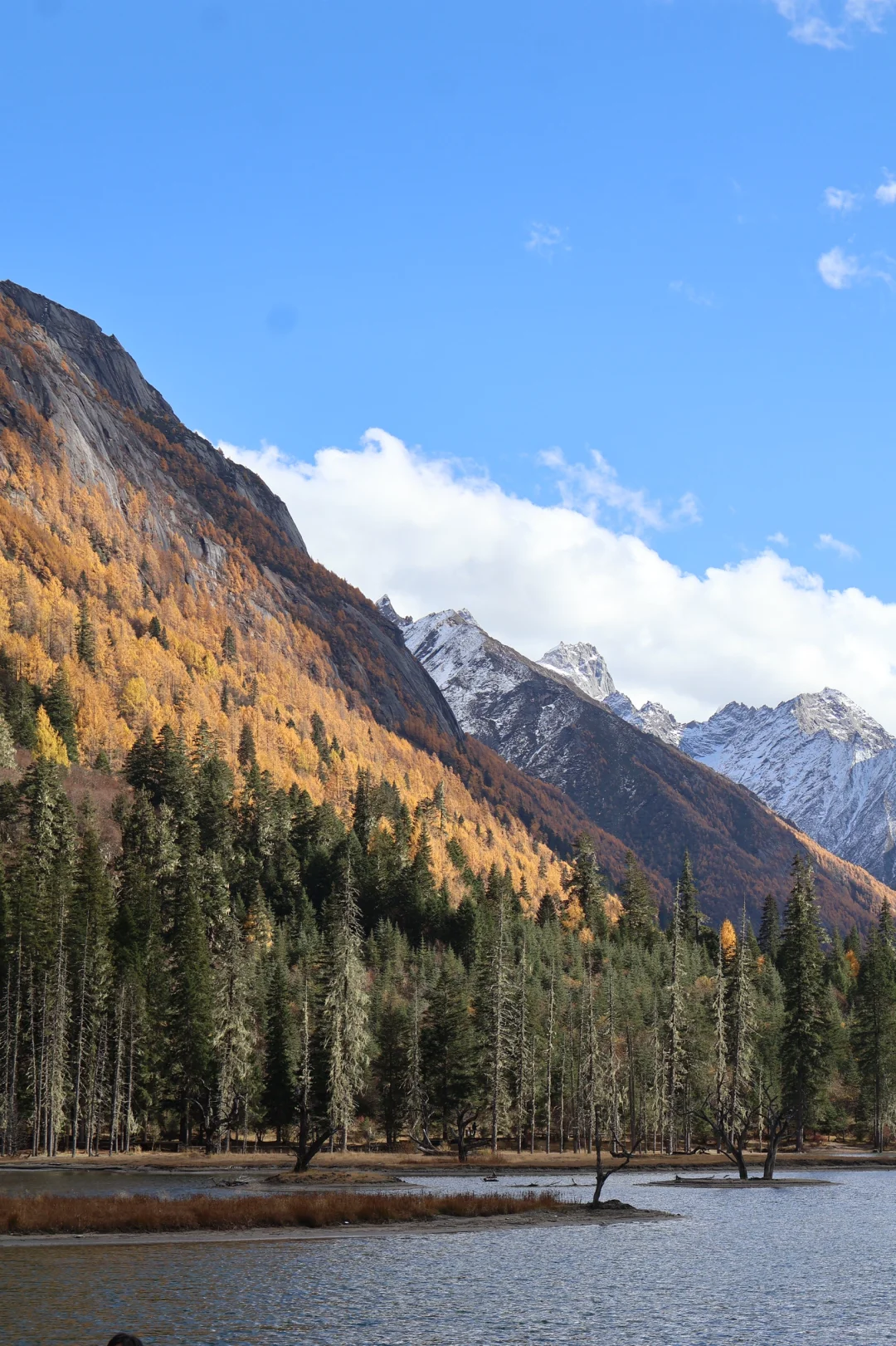 秋天去四姑娘山 双桥沟🍂