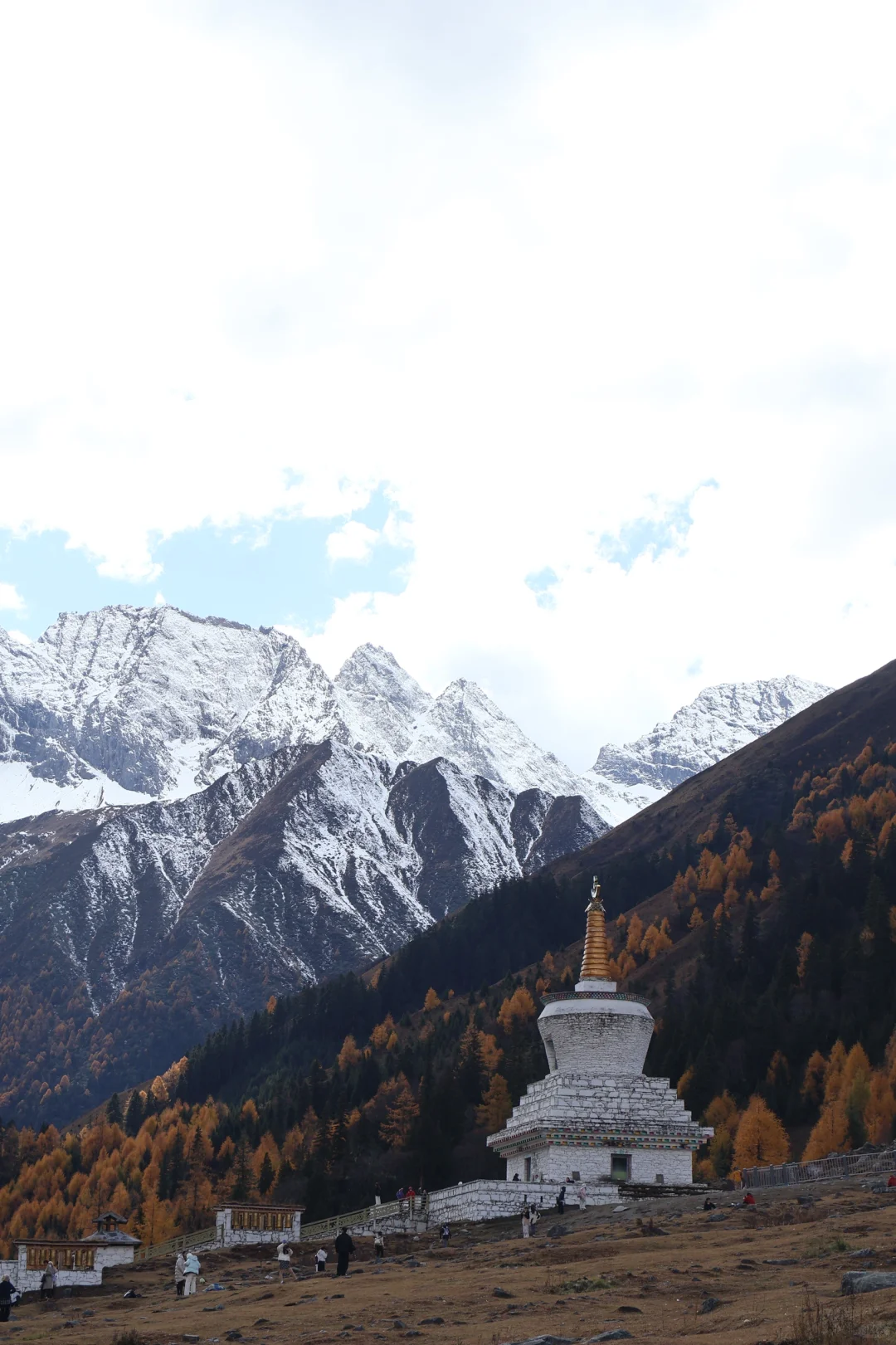 秋天去四姑娘山 双桥沟🍂